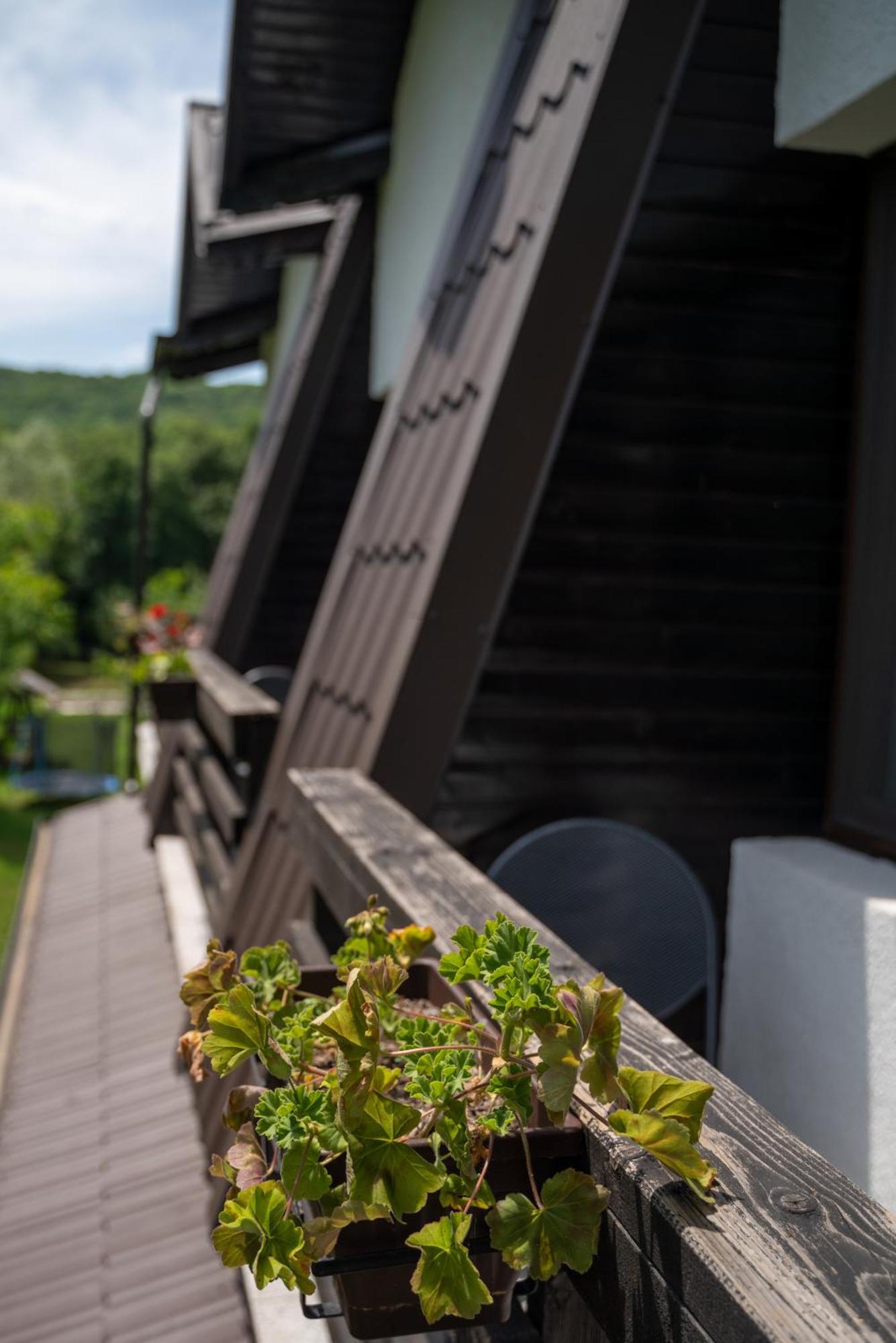 Din Natura Varbilau Esterno foto